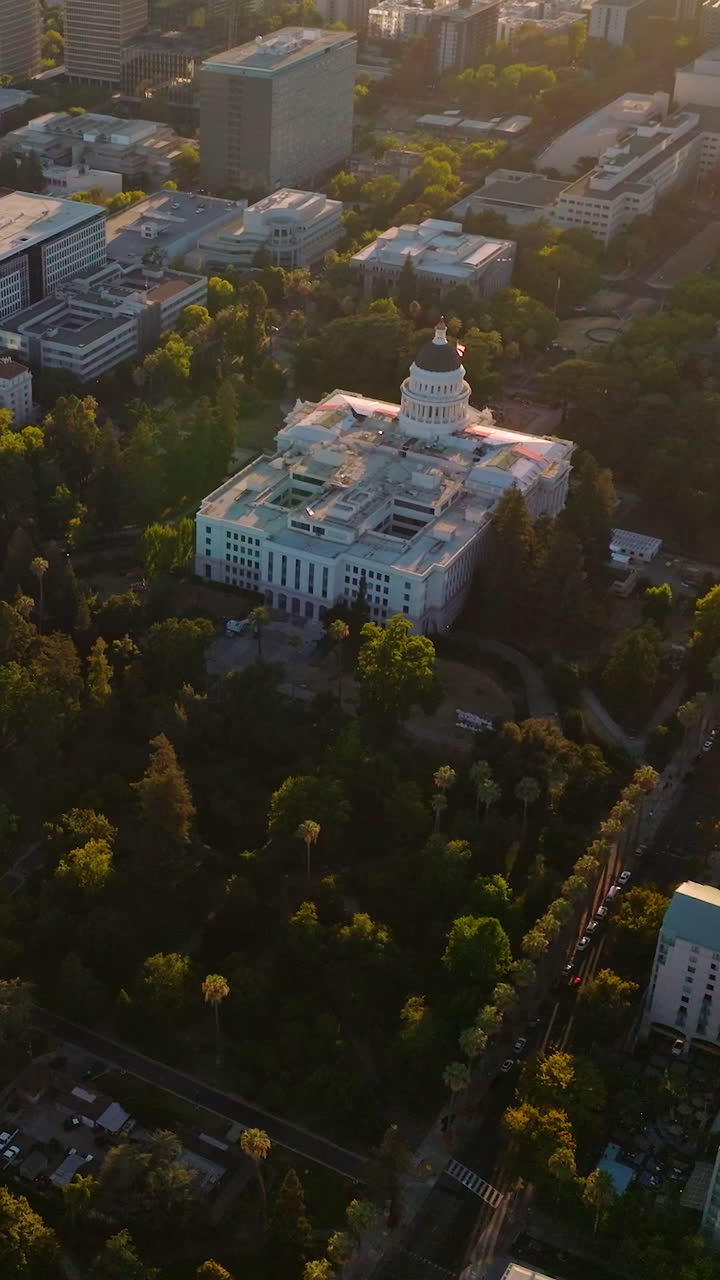 Urban panorama of Sacramento, California, USA. Green cozy city from aerial perspective on sunny day. Vertical video