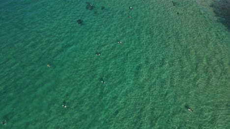 Top-View-Of-Surfers-Floating-At-The-Pristine-Water-Of-The-Beach-In-Norries-Cove-In-NSW,-Australia