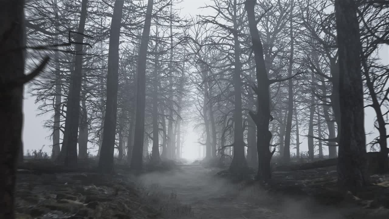 animación en bucle de volar a través de un bosque aterrador