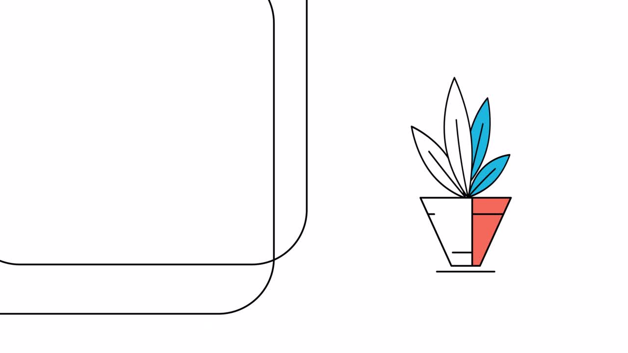 4k video of home decorative plants in a flat style.