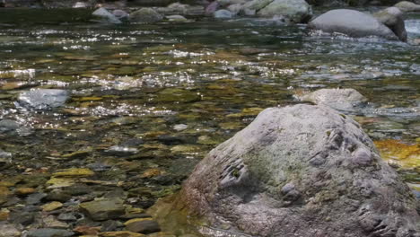 Vista-De-Cerca-Del-Arroyo-Que-Fluye-Sobre-Las-Rocas-Durante-El-Día-De-Verano-En-El-Bosque-Tropical---Tiro-Estático