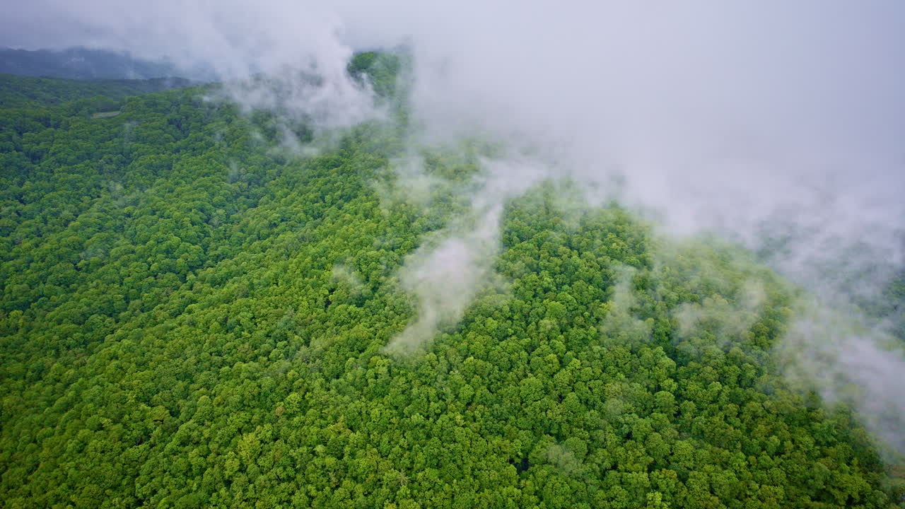 Slow drift through cinematic fog in the Smokies