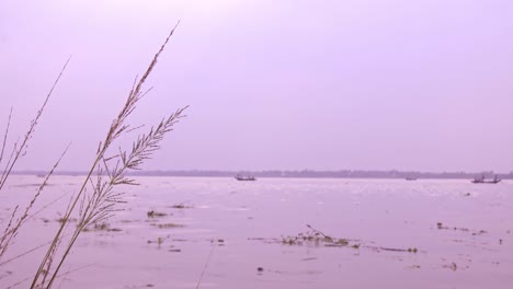 The-Ganges-is-flowing-on-the-Bengal