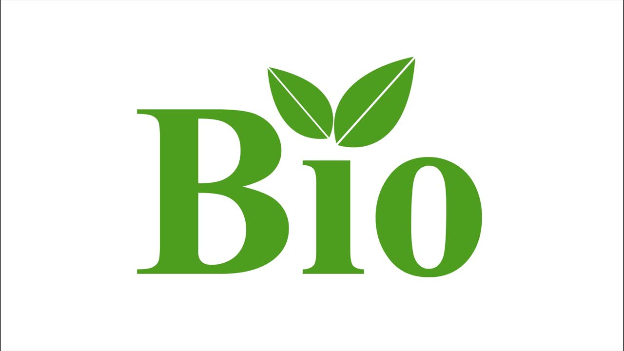 video decorativo multicolor con biografía de texto