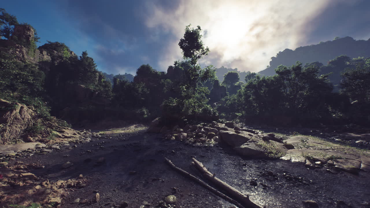 un bosque verde exuberante con un río corriendo a través de él