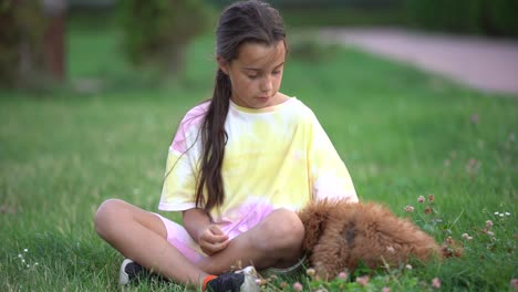 Ein-Kleines-Mädchen-Spielt-Mit-Ihrem-Maltipoo-Hund,-Einer-Malteser-Pudelrasse