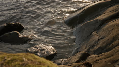 Close-up of lake shoreline with dark rocks smoothed by water, shimmering under golden sunlight in summer evening, capturing texture and movement