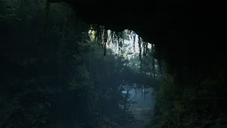 misteriosa cueva del bosque