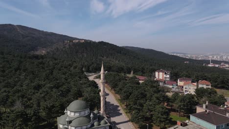 bosque de la mezquita islámica