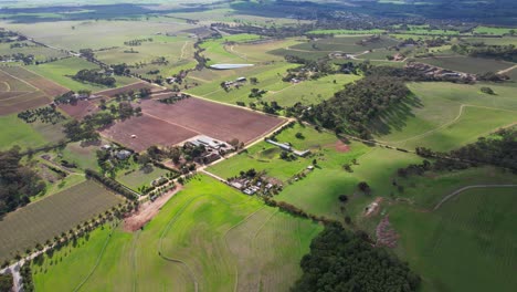 scenic landscape in barossa valley, south australia - aerial shot