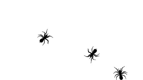 silhouetted spiders moving across a white background