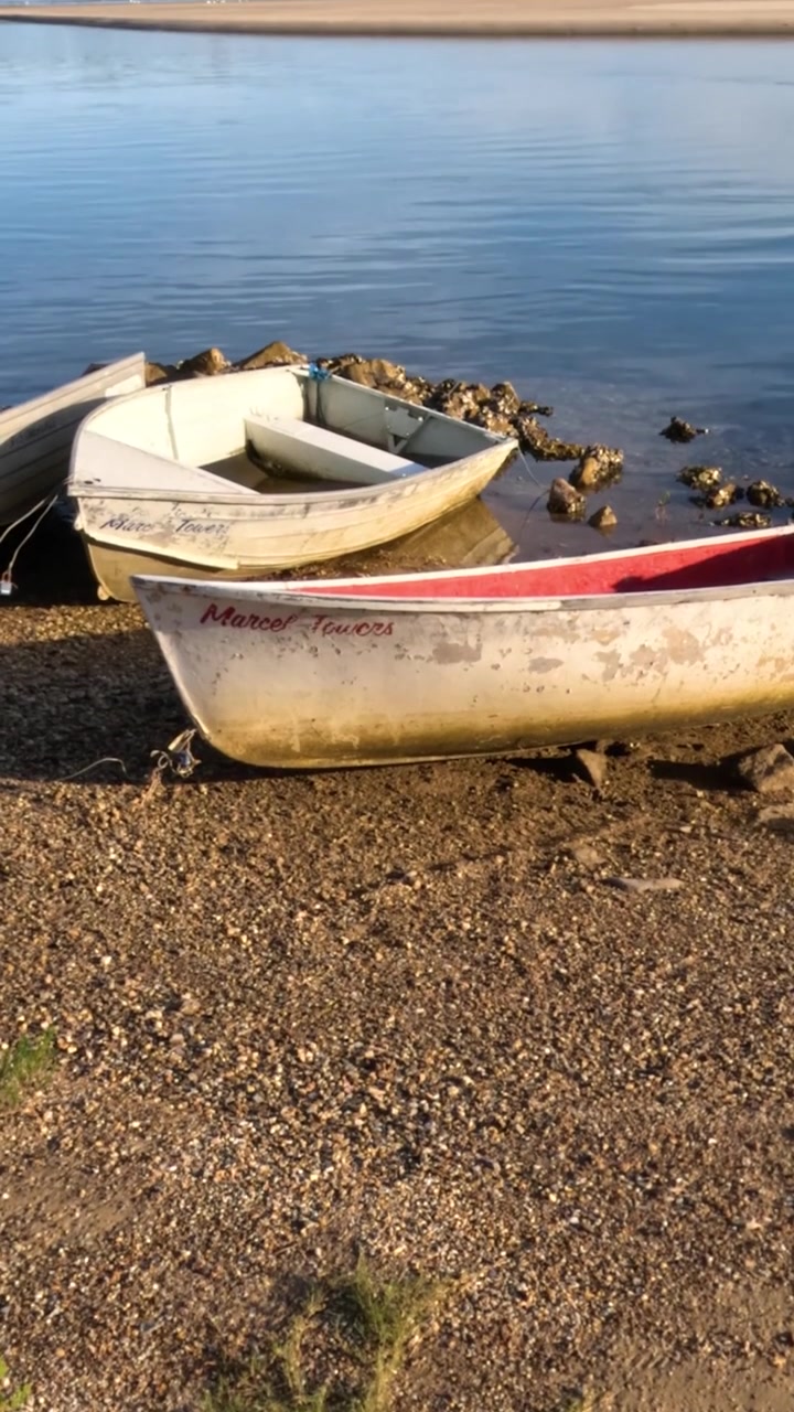 Acqua calma, barche a riva, scenario naturale sereno