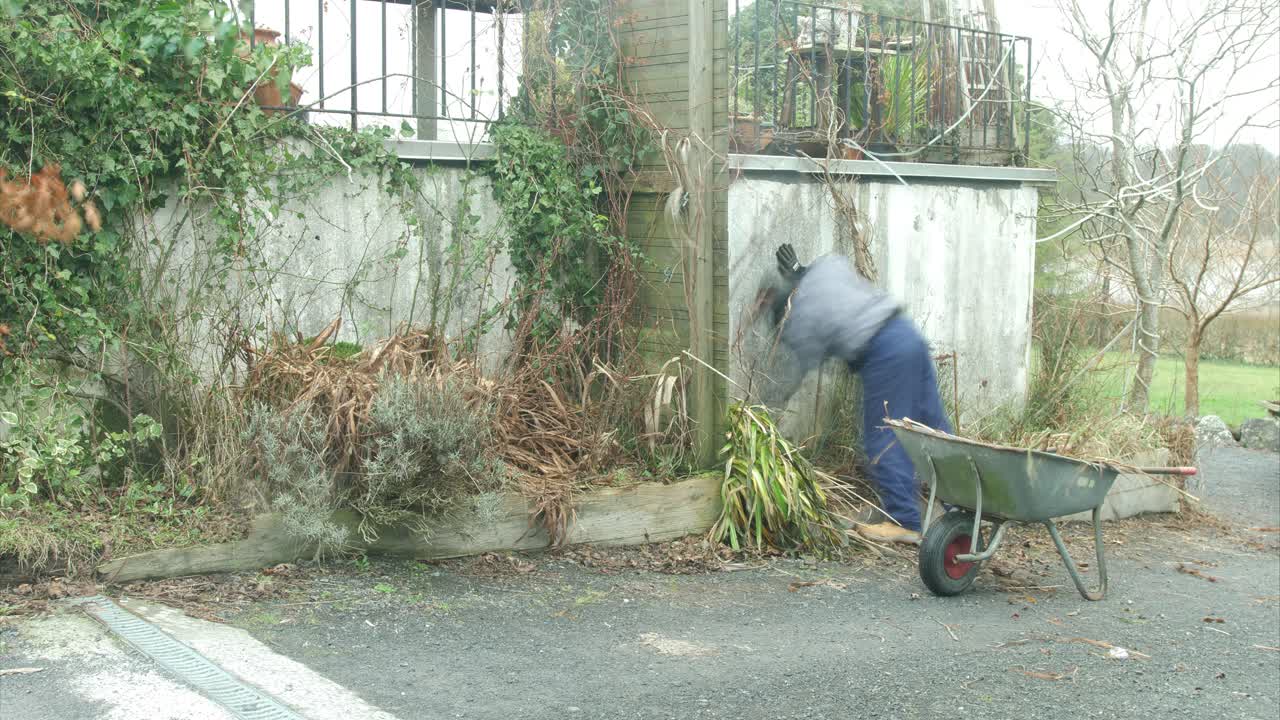 집 주변의 조경사 청소 꽃 침대 timelapse