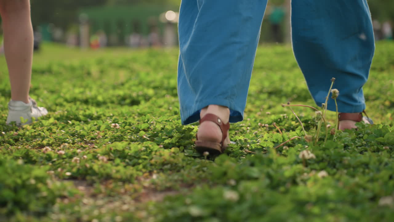 lower leg view of children parents walking through green field, sneakers and casual shoes stepping on clover grass, summer afternoon family stroll capturing movement connection and carefree joy