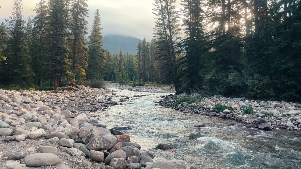 Stream Flowing Through Rocks And Pine Trees At Sunrise In Banff ...