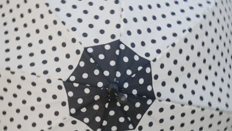 Black and white polka dot open umbrellas turns and hypnotize.