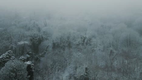 rising aerial view of snowy forest in misty conditions