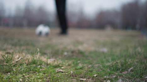 Blurred close-up of a football being passed between two people on a grassy field, with one person trapping the ball under their right foot, the background features a blurred grassy field
