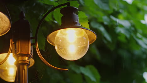 Rain-Drops-Dripping-From-Vintage-Style-Street-Light-During-Summer-Light-Shower-With-Vine-Leaves-in-Background,-Slow-Motion,-Yellow-Outdoor-Lamp-Pulb-Casting-Warm-Orange-Glow