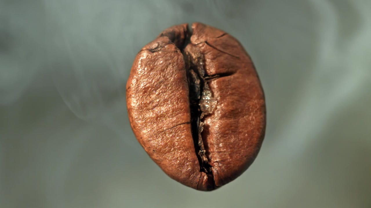 Primo piano di un singolo chicco di caffè tostato con vapore che sale