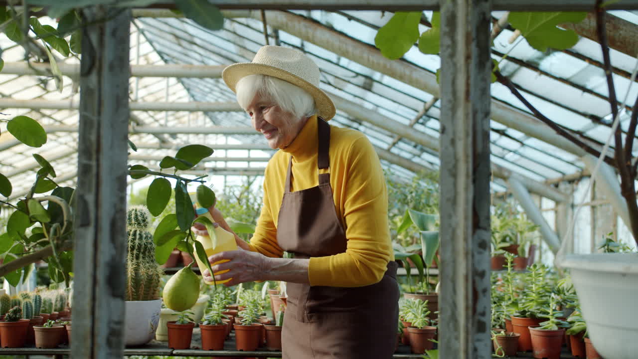 Senior Woman Gardening in a Greenhouse