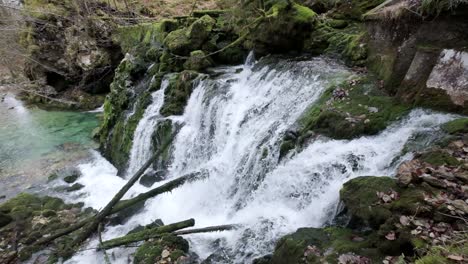 izvir bistrice the natural source of bohinj river. the stream flowing through the bohinjska bistrica river gets its water from the lower bohinj mountains.
