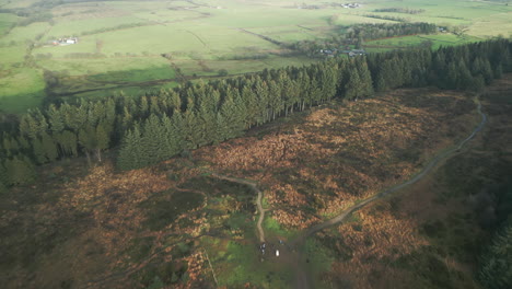 paso elevado del bosque a los campos de retazos verdes en beacon fall country park