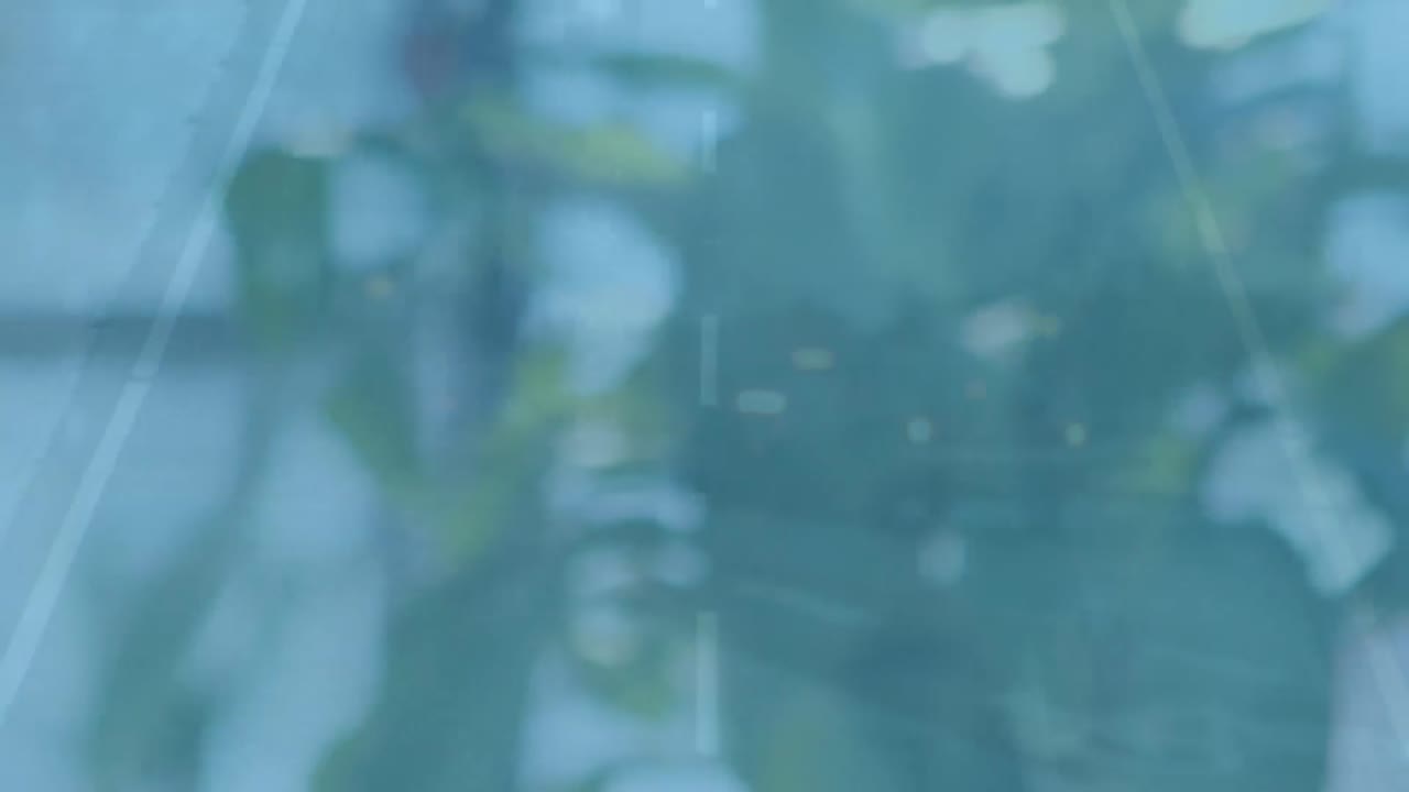 꽃 위의 데이터 처리의 애니메이션