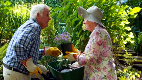 Senior-couple-with-flowers