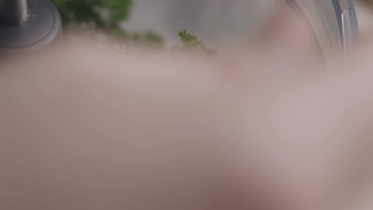 믹서기에 파슬리 잎을 넣고