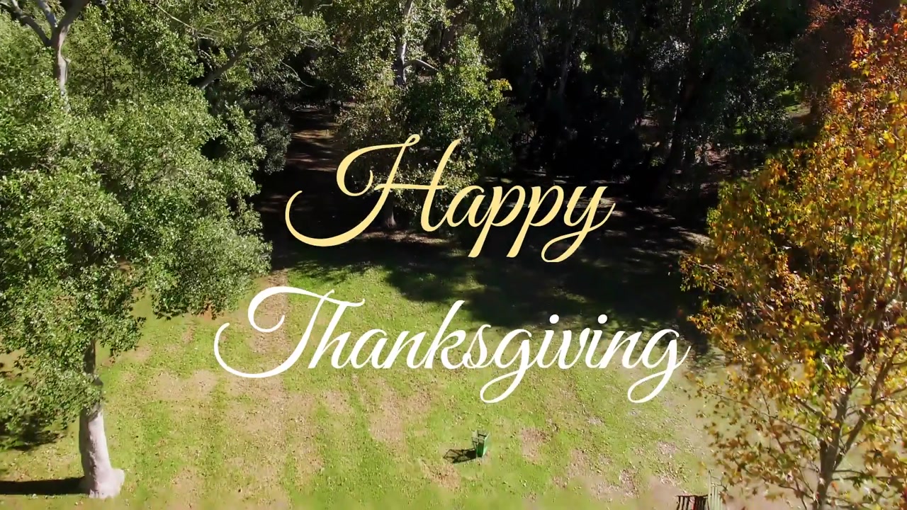 Animazione di un banner di testo "Happy Thanksgiving" su sfondo di vista aerea di una foresta.