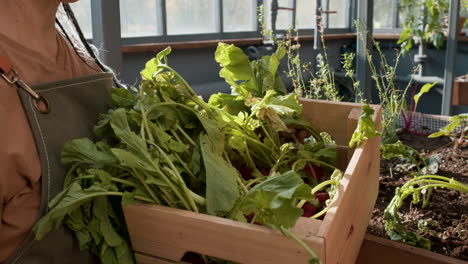 People-in-a-greenhouse