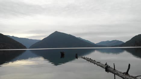 Retreating-aerial-reveals-log-floating-on-placid-reflecting-mtn-lake