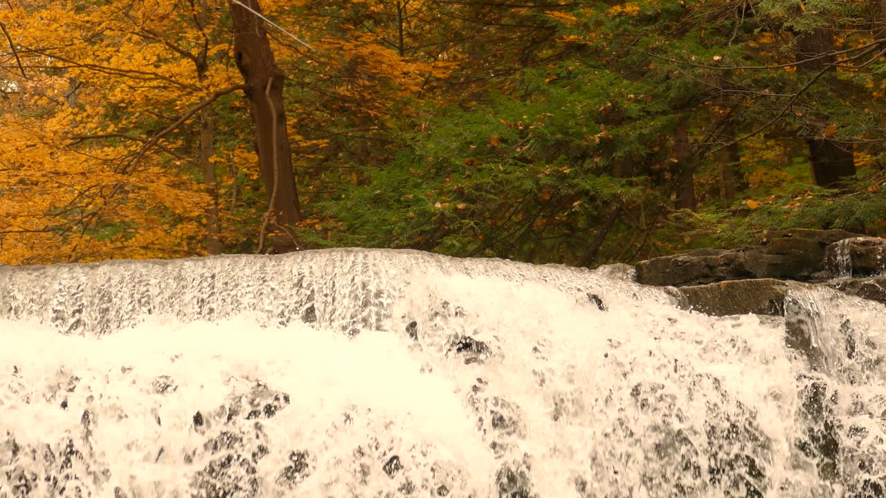 una cascada que cae sobre afloramientos rocosos rodeados de bosques