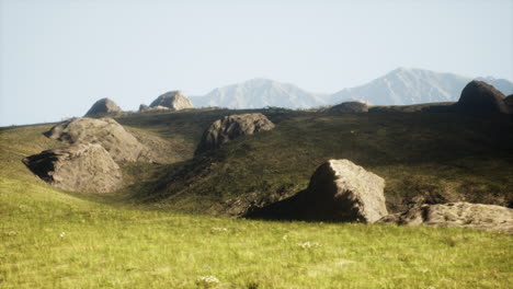 a lush green field with a mountain range in the background