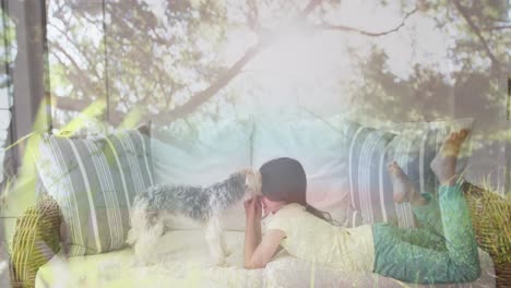 Composite-video-of-tall-trees-in-the-forest-against-caucasian-girl-playing-with-her-dog-on-the-couch