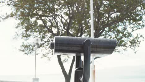 black binoculars at a park