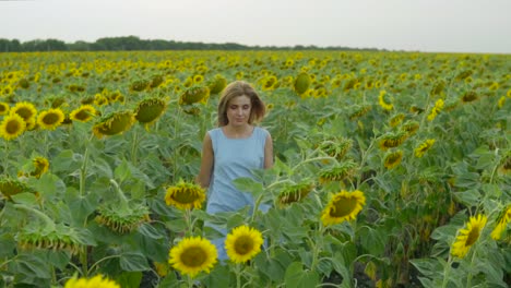 Portrait-of-a-young-woman-in-a-blue-dress-walking-in-the-sunflower-field,-enjoying-nature.-Slow-Motion-shot