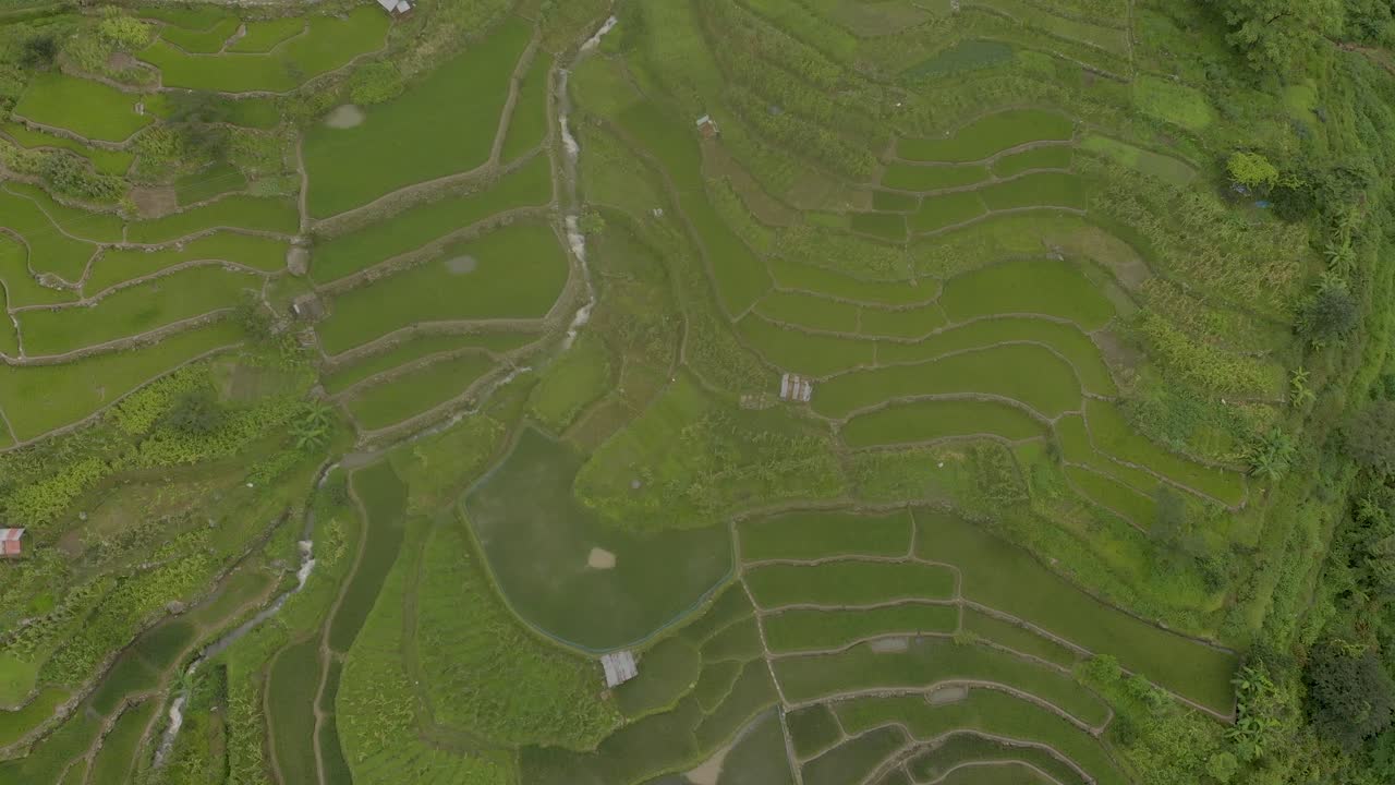 toma aérea de 4k de la aldea de khonoma y su agricultura en terrazas, también conocida como cultivo escalonado de campos de arroz, nagaland, india
