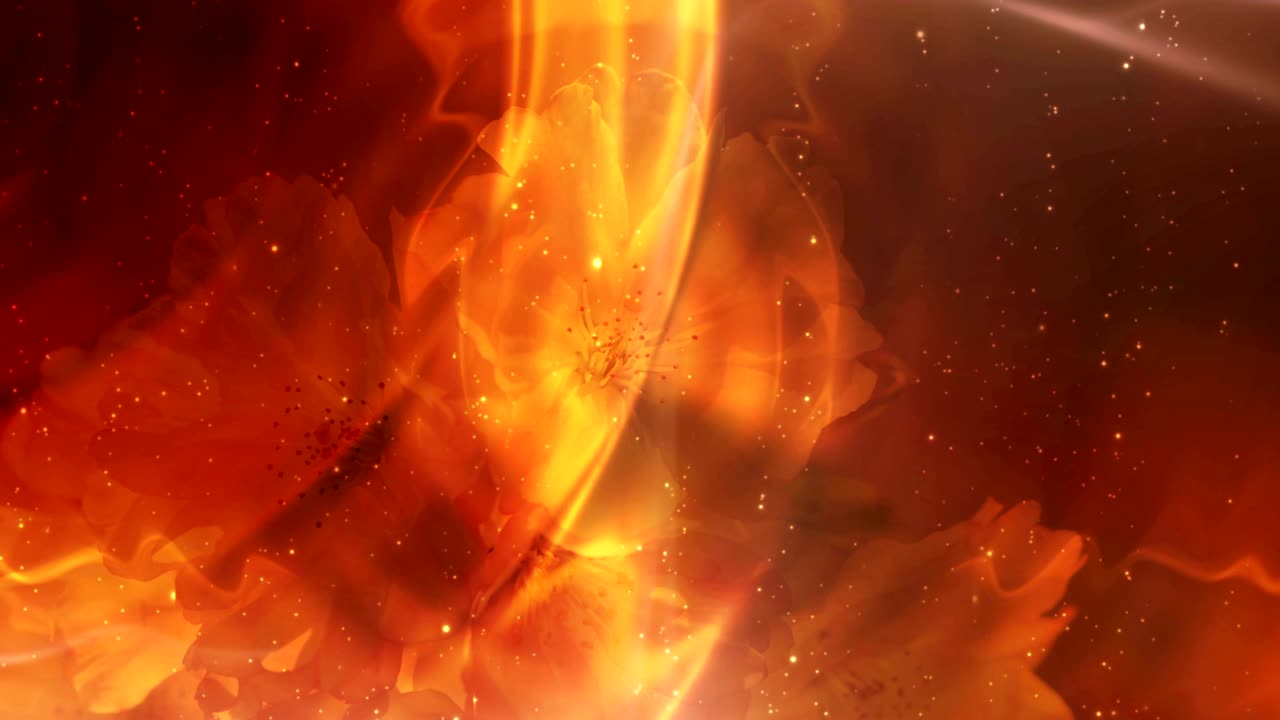 un bucle de fondo floral brillante