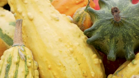 close up of strangely shaped pumpkins and gourds