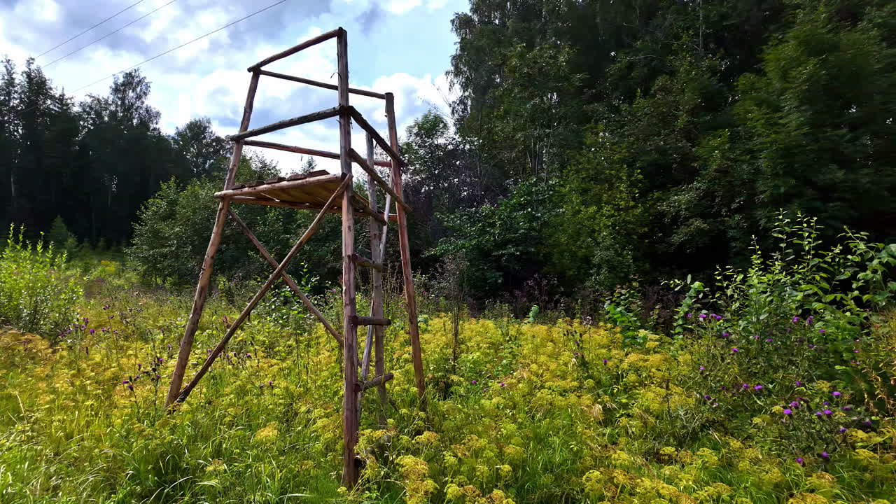 Wooden lookout in a lush field, surrounded by wildflowers and dense forest trees