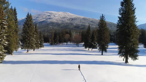 Hiker-walking-on-a-snowy-landscape-4k