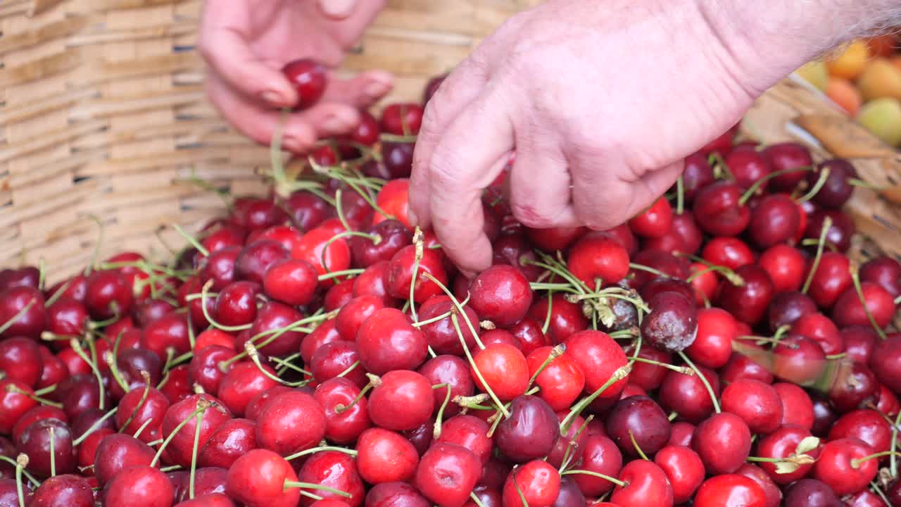 Cherries in a Basket