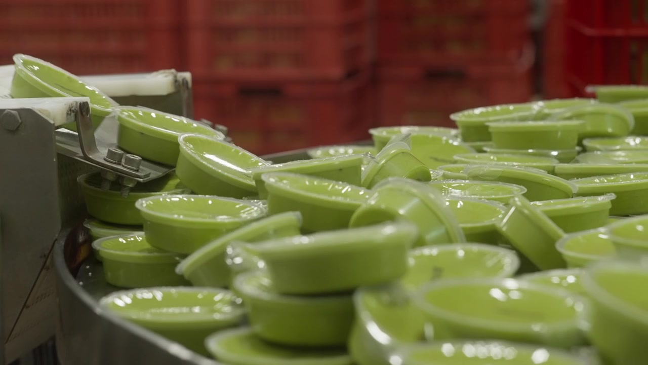 Packaged guacamole portions arranged in rows on conveyor line in food production facility