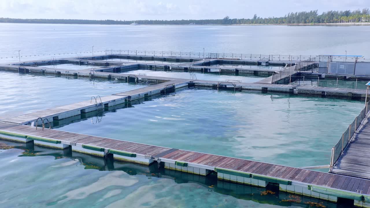 바다 표면에 떠 있는 돌고래 수영장 섬 공원, 도미니카 공화국의 푼타 카나