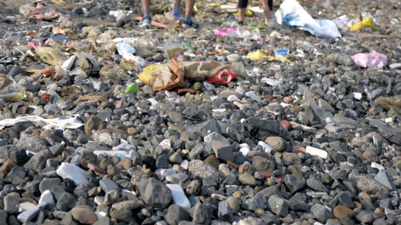 바이에서 오염된 해변을 청소하는 카터 로드