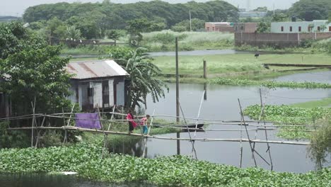 rural bangladesh flooded landscape with wooden bridge and people