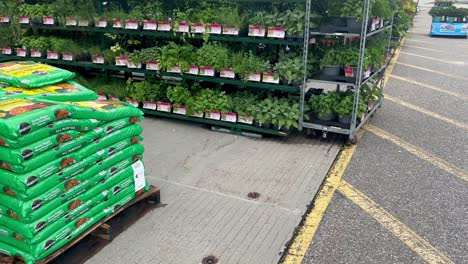 flowers in a greenhouse with fertilizer