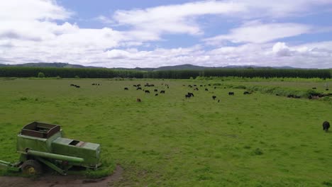 Panorama-De-Un-Tractor-Y-Un-Rebaño-De-Ganado-En-El-Prado-En-Oregon,-Estados-Unidos-De-América